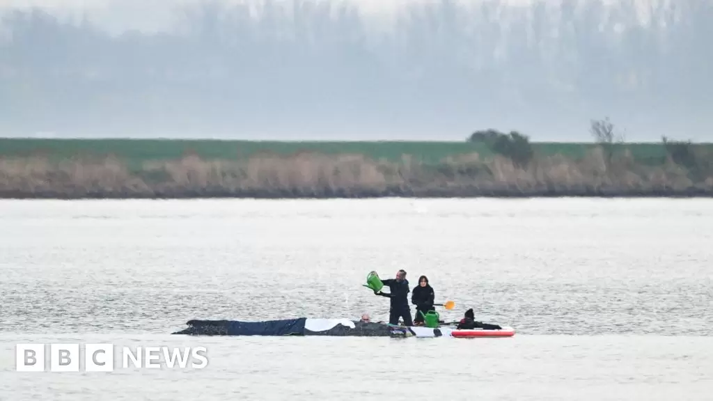 Rescuers to use air cushions in latest effort to save stranded whale