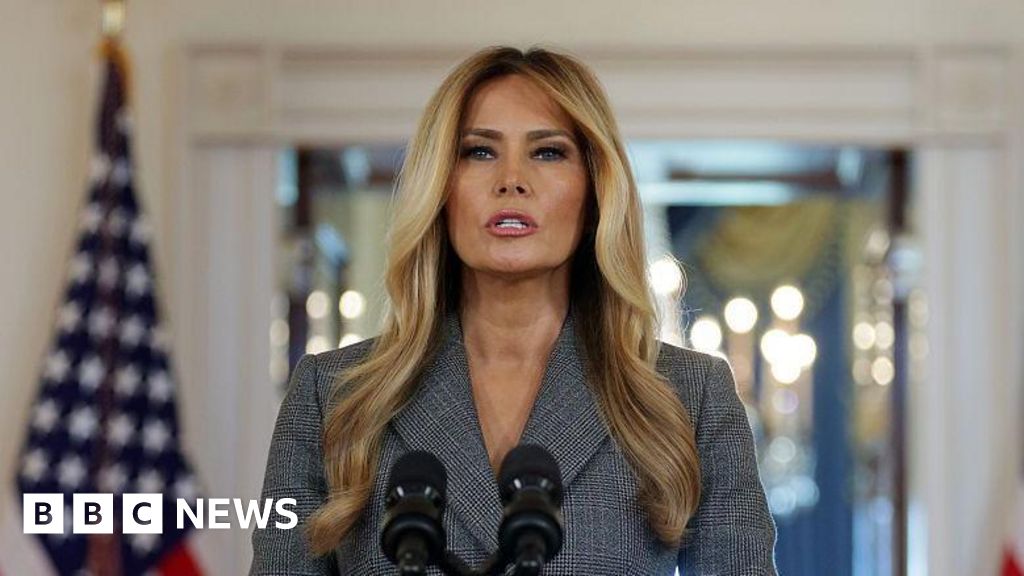 Melania Trump: 'I never had a relationship with Epstein'